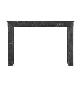 Maison Leon Van den Bogaert Henri II Fossil Stone Fireplace with Golden Veining