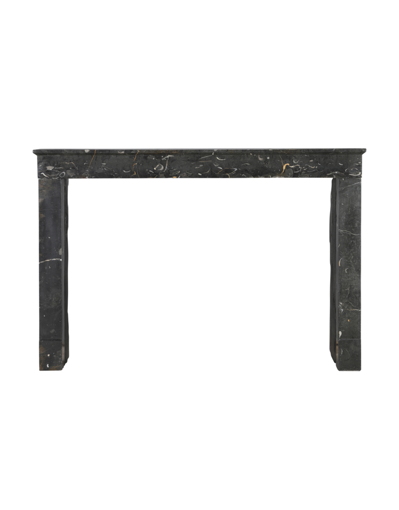 Maison Leon Van den Bogaert Henri II Fossil Stone Fireplace Mantel | Late 16th Century