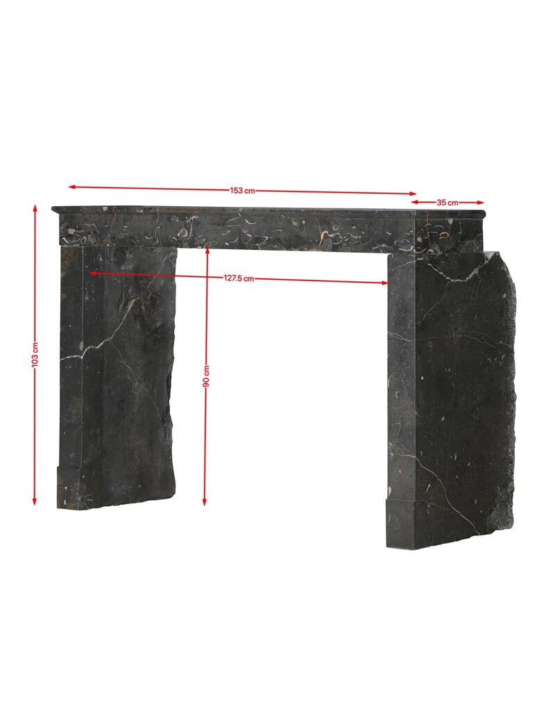 Maison Leon Van den Bogaert Cheminée authentique Henri II de la région du Beaujolais à veines dorées