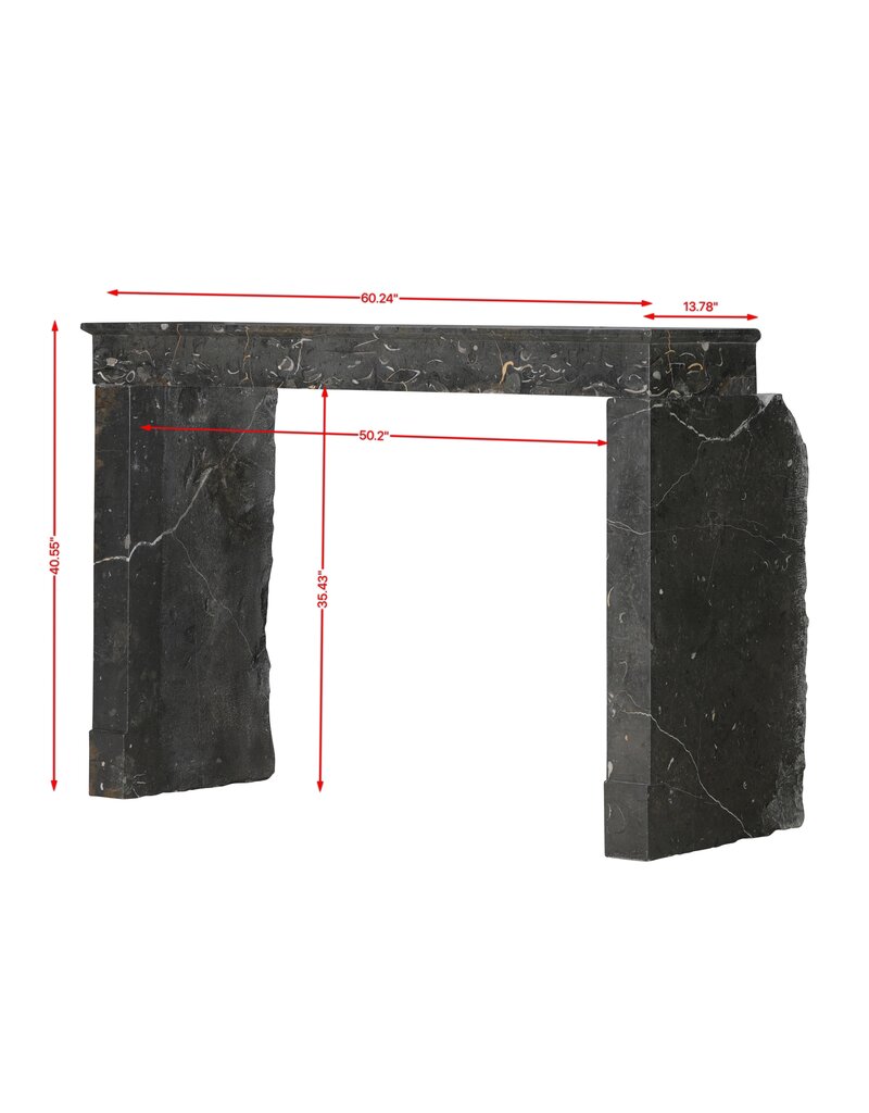 Maison Leon Van den Bogaert Cheminée authentique Henri II de la région du Beaujolais à veines dorées