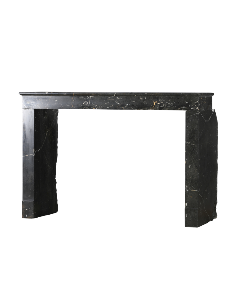 Maison Leon Van den Bogaert Henri II Fossil Stone Fireplace Mantel | Late 16th Century