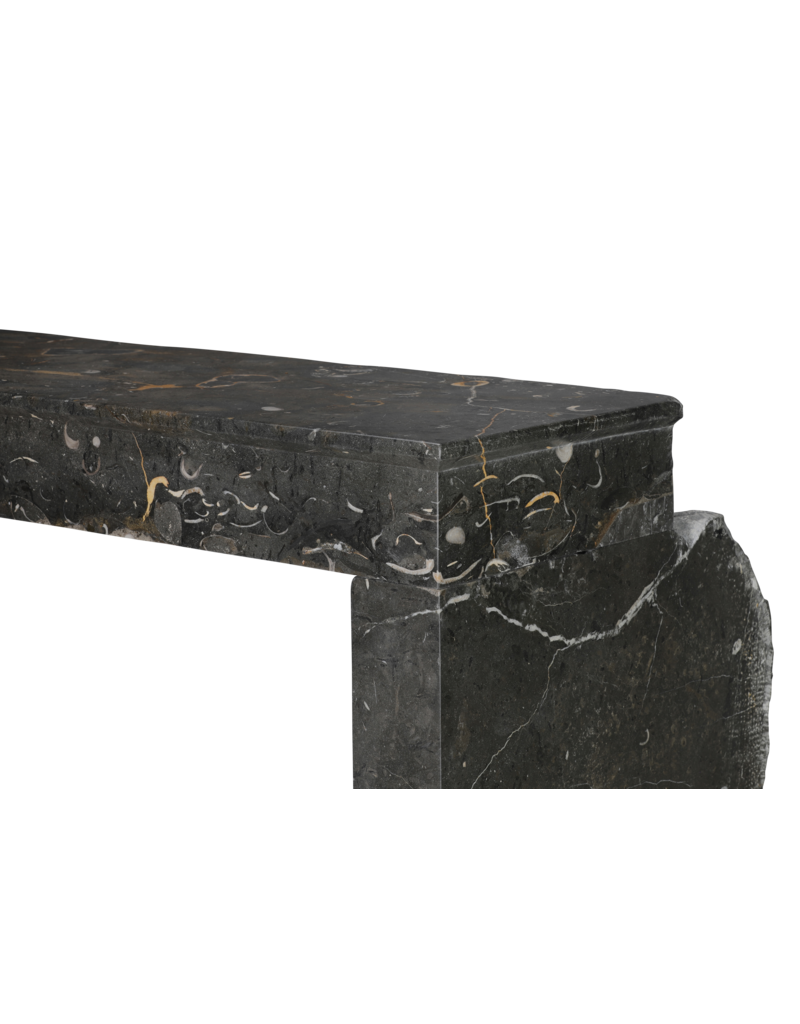 Maison Leon Van den Bogaert Henri II Fossil Stone Fireplace Mantel | Late 16th Century