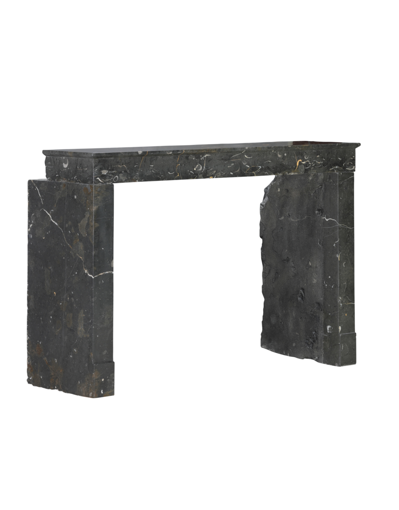 Maison Leon Van den Bogaert Henri II Fossil Stone Fireplace Mantel | Late 16th Century