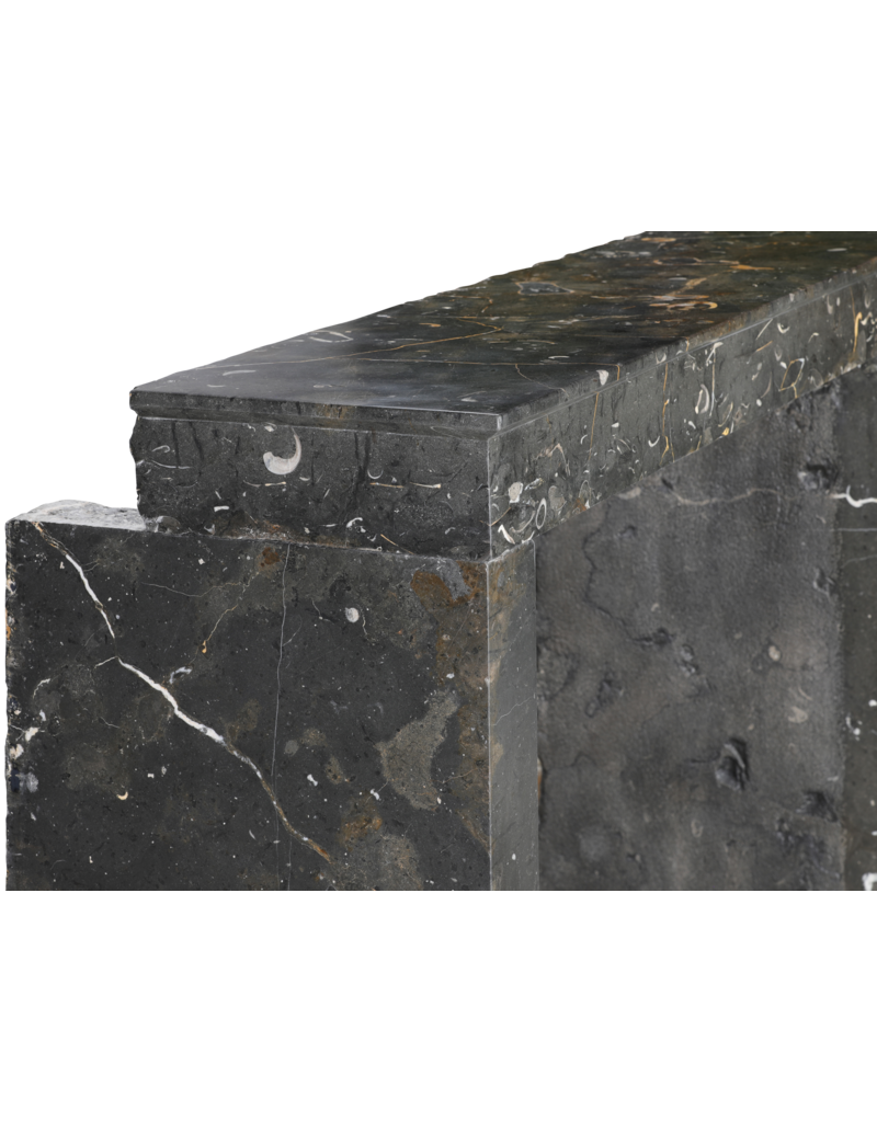 Maison Leon Van den Bogaert Laat-16e-Eeuwse Fossiel Stenen Schouw uit de Beaujolais met Gouden Aders