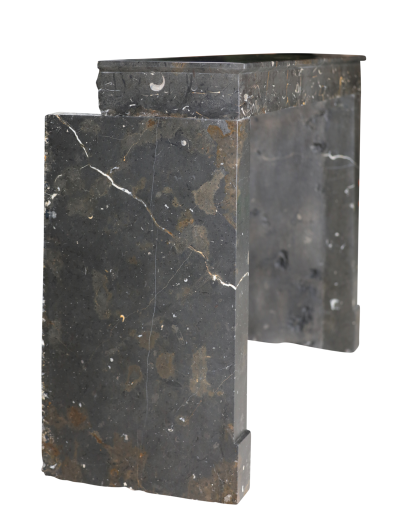 Maison Leon Van den Bogaert Chimenea auténtica en piedra fosilizada Henri II del Beaujolais con vetas doradas