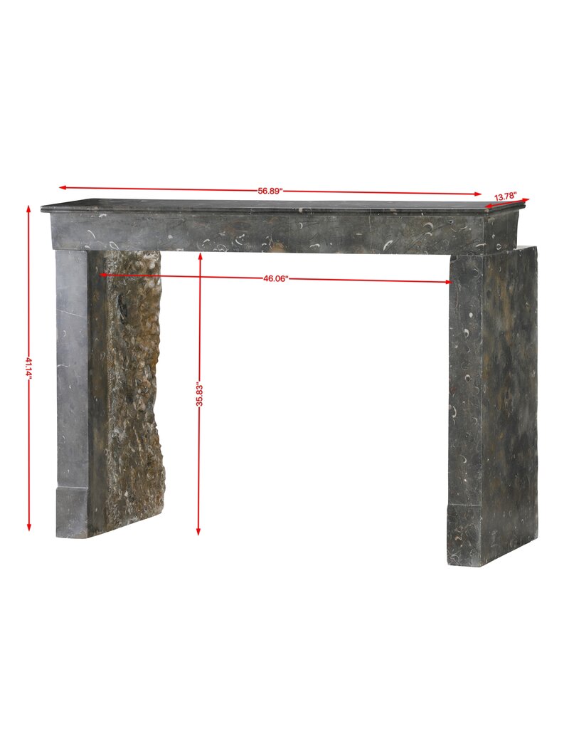 Excepcional chimenea francesa de piedra fósil oxidada del Beaujolais, siglo XIX – Diseño arquitectónico minimalista y atemporal