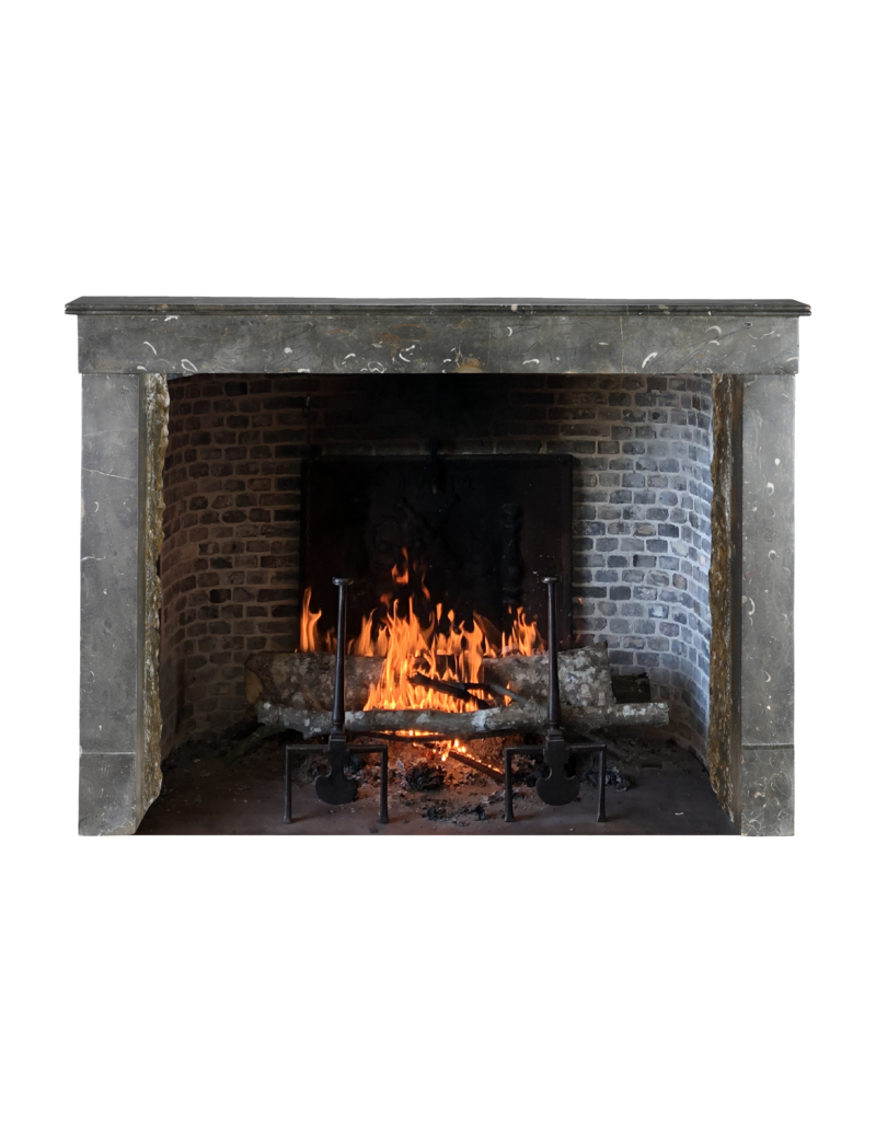 Außergewöhnlicher französischer Kamin aus oxidiertem Fossilstein aus der Beaujolais-Region, 19. Jahrhundert – Zeitloses minimalistisches Design