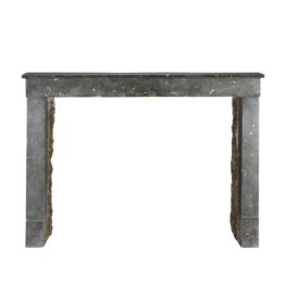 Maison Leon Van den Bogaert 19th Century French Fossil Stone Fireplace Mantel from Beaujolais
