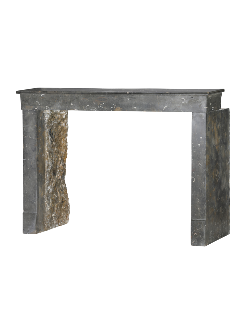 Exceptional 19th Century French Oxidated Fossil Stone Fireplace Mantel from the Beaujolais Region – Timeless Minimal Architectural Design