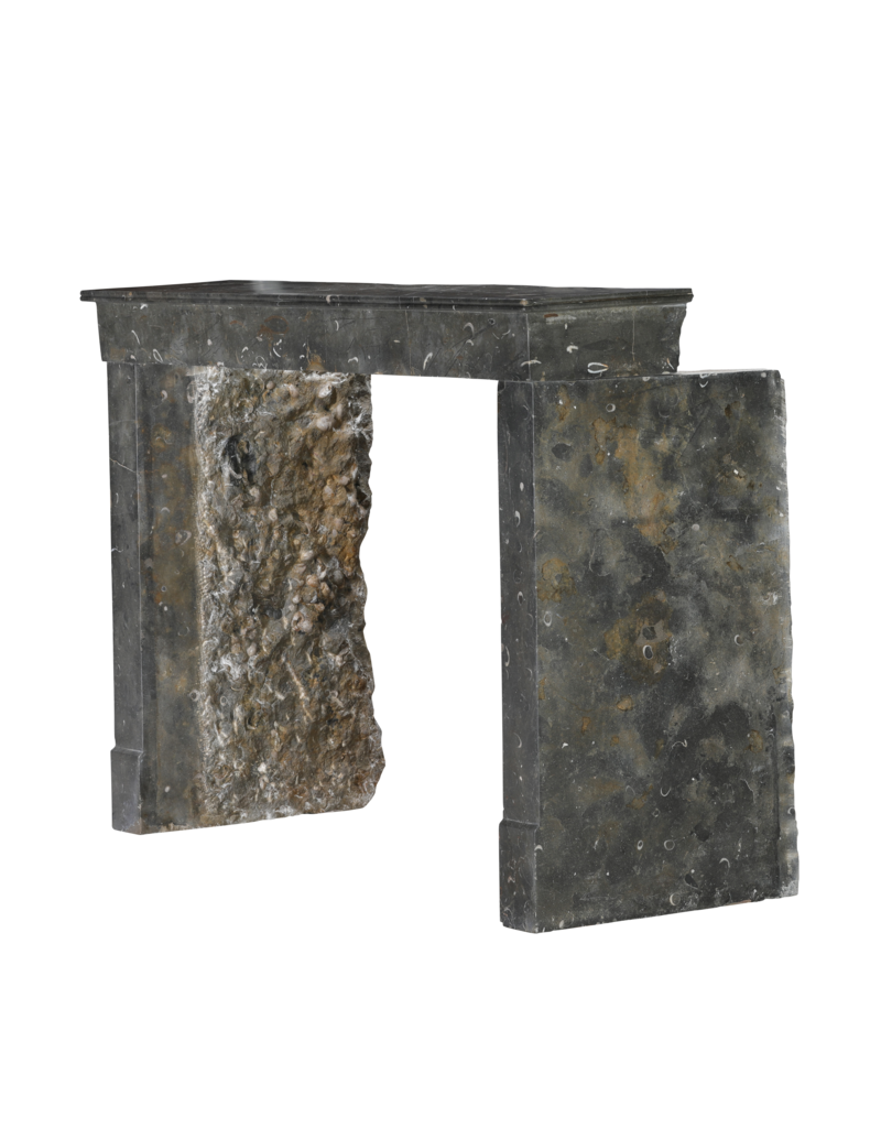 Maison Leon Van den Bogaert Exceptional 19th Century French Oxidated Fossil Stone Fireplace Mantel from the Beaujolais Region – Timeless Minimal Architectural Design