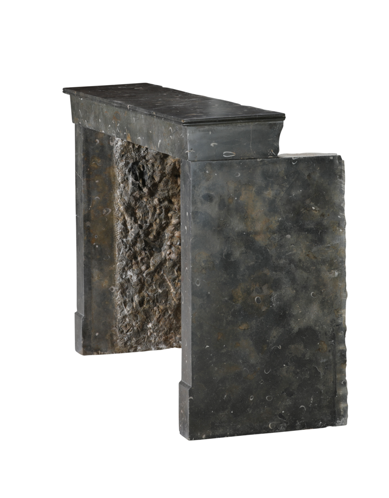 Maison Leon Van den Bogaert Außergewöhnlicher französischer Kamin aus oxidiertem Fossilstein aus der Beaujolais-Region, 19. Jahrhundert – Zeitloses minimalistisches Design