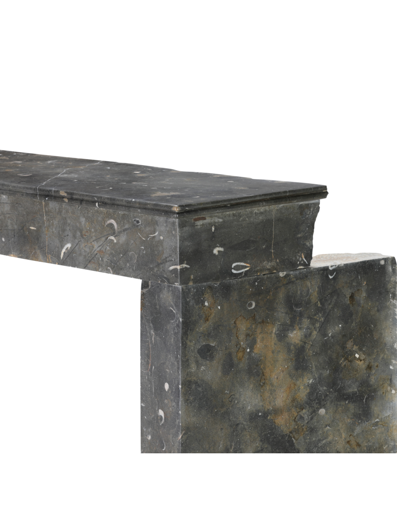 Maison Leon Van den Bogaert Exceptional 19th Century French Oxidated Fossil Stone Fireplace Mantel from the Beaujolais Region – Timeless Minimal Architectural Design