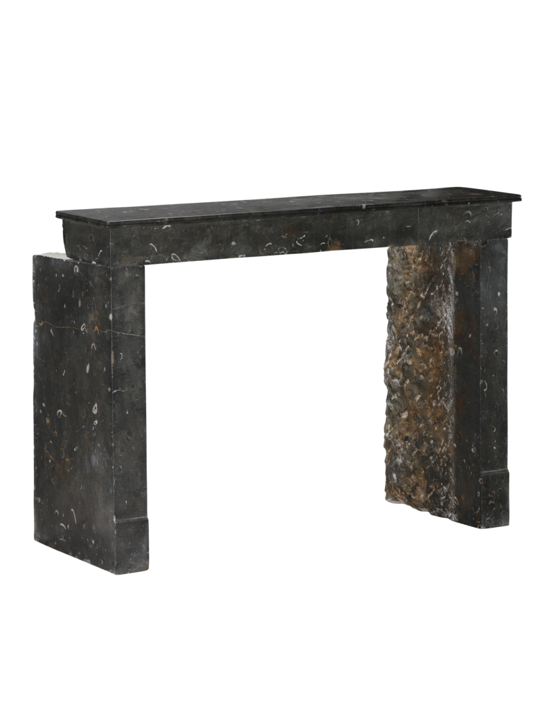 Exceptional 19th Century French Oxidated Fossil Stone Fireplace Mantel from the Beaujolais Region – Timeless Minimal Architectural Design