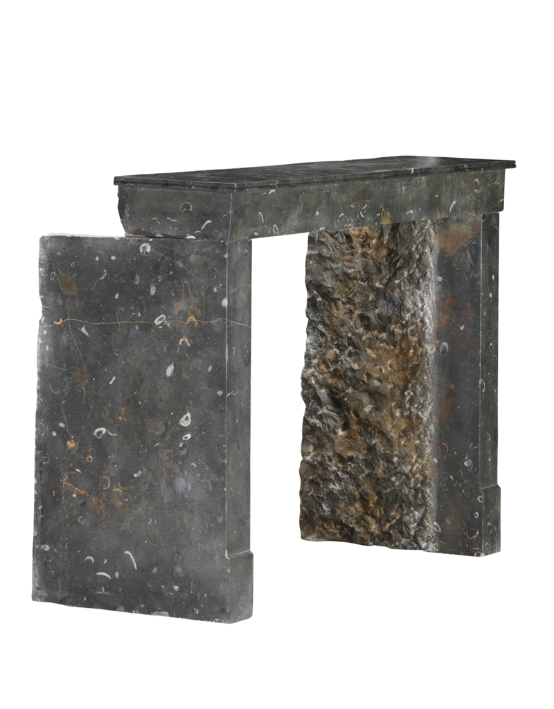 Außergewöhnlicher französischer Kamin aus oxidiertem Fossilstein aus der Beaujolais-Region, 19. Jahrhundert – Zeitloses minimalistisches Design
