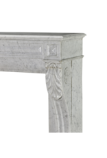 Rare 19th Century Antique Fireplace Surround in White Marble with Sculpted Lion Paw Feet – Timeless Neoclassical Elegance