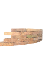 Originele Antieke Terracotta Baksteen – Gebogen Massieve Baksteen voor Ronde Muurconstructies, Binnenstraal ~41 cm, 14,5 cm Binnen, 17 cm Buiten, 7,3 cm Breed