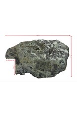 Maison Leon Van den Bogaert Fragmento Raro de Mármol Verde Antiguo 129 cm – Losa Arquitectónica Escultural en Tonos Oliva y Gris – Pieza de Lujo