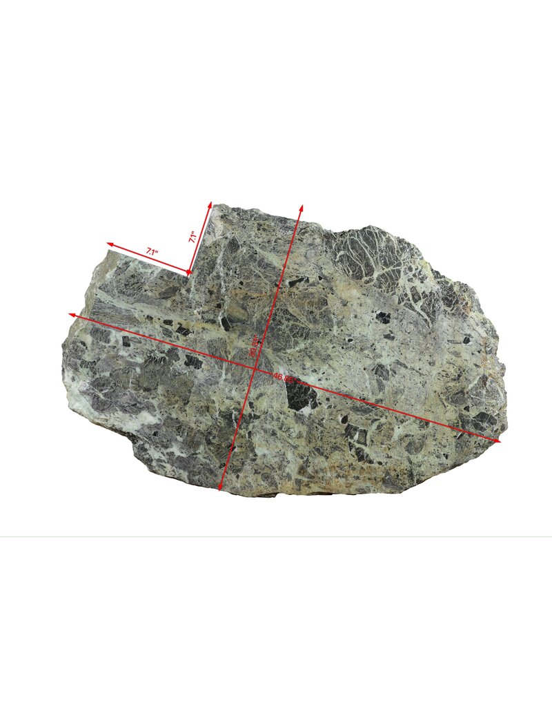 Maison Leon Van den Bogaert Fragment Rare de Marbre Vert Ancien 119 x 77 cm – Tablette de table avec Traces de Coupe Historiques