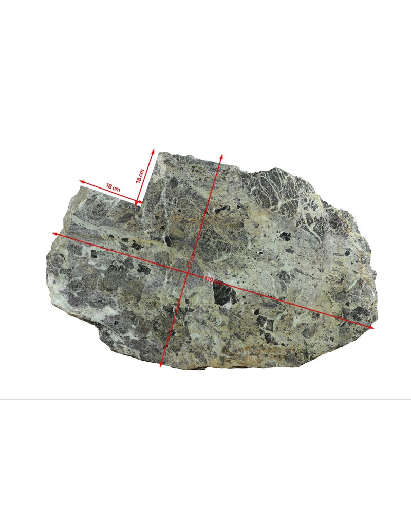 Maison Leon Van den Bogaert Zeldzaam Antiek Groen Marmer Fragment 119 x 77 cm –Tafelblad met Organische Vorm en Historische Snedesporen