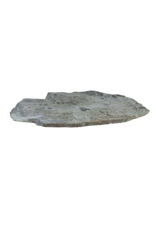Zeldzaam Antiek Groen Marmer Fragment 119 x 77 cm –Tafelblad met Organische Vorm en Historische Snedesporen