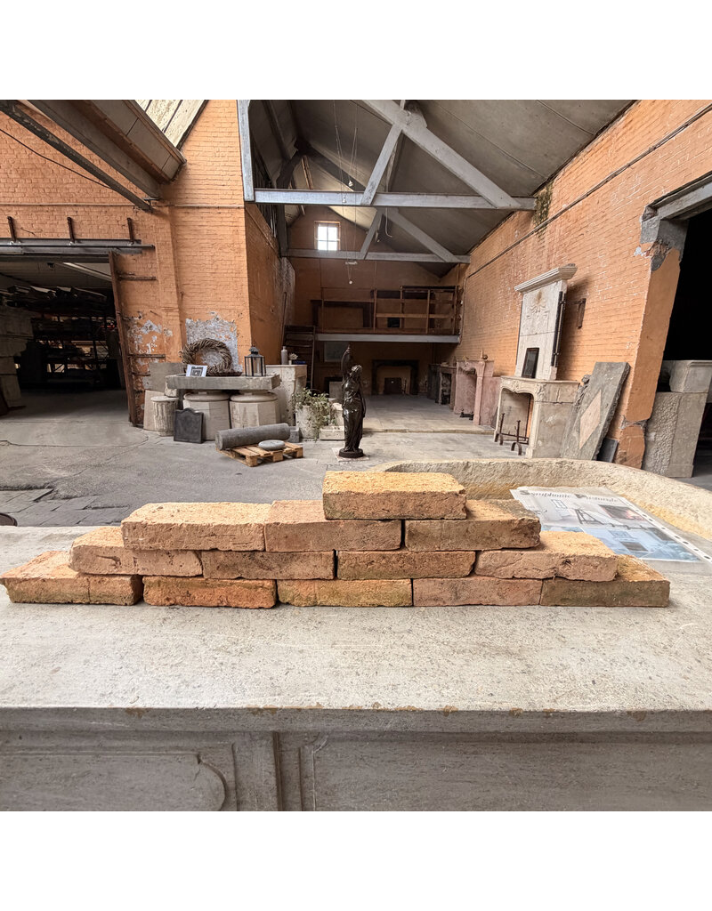 Maison Leon Van den Bogaert Brique Antique Originale en Terre Cuite – Brique Solide pour Constructions de Murs