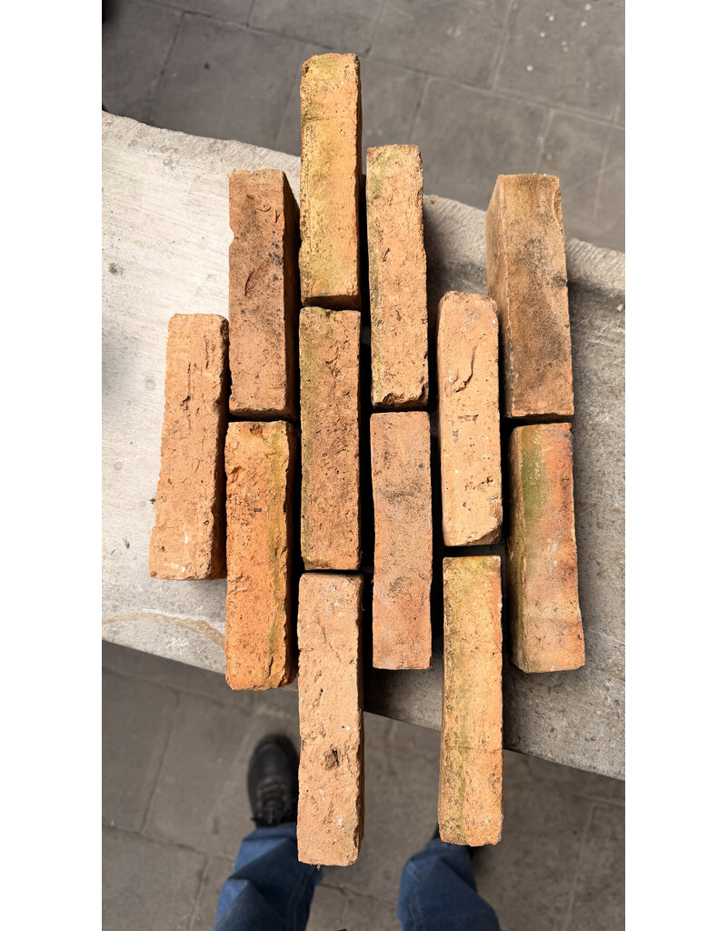 Maison Leon Van den Bogaert Originele Antieke Terracotta Baksteen – Massieve Baksteen voor Muurconstructies of Vloer