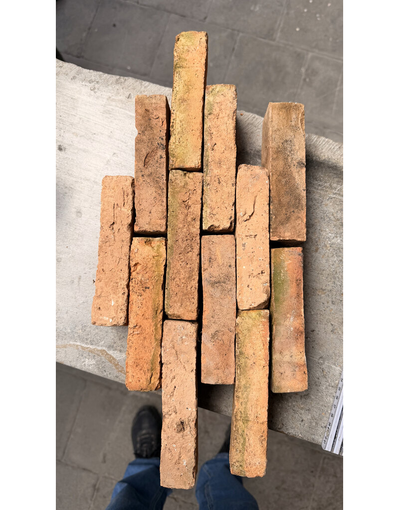 Maison Leon Van den Bogaert Ladrillo Antiguo Original de Terracota – Ladrillo Macizo para Construcción de Muros