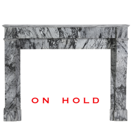 Maison Leon Van den Bogaert 19th Century Bleu Fleuri Marble Fireplace Surround