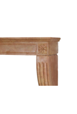 Maison Leon Van den Bogaert Französischer Louis XVI Kamin aus dem 19. Jahrhundert aus Bourgogne Rosé Naturstein – Handgeschnitzte Umrahmung