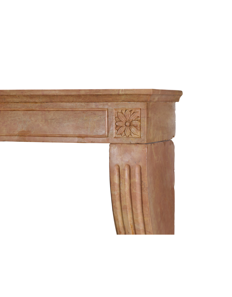 Maison Leon Van den Bogaert Chimenea francesa antigua estilo Luis XVI del siglo XIX en piedra Bourgogne rosa – Tallada a mano