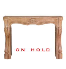 Maison Leon Van den Bogaert 18th Century Period French Castle Fireplace Surround