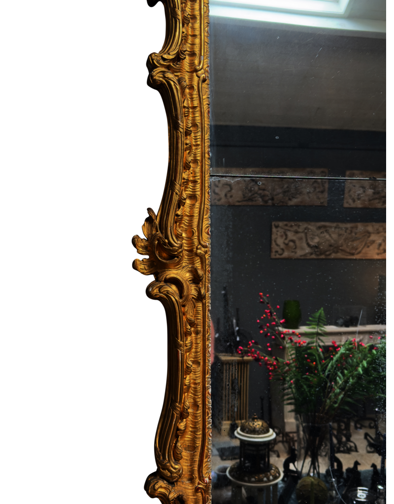 Maison Leon Van den Bogaert Antique French Régence Giltwood Mirror with Original Glass, Rocaille Carving and Rich Golden Patina – 178 cm High