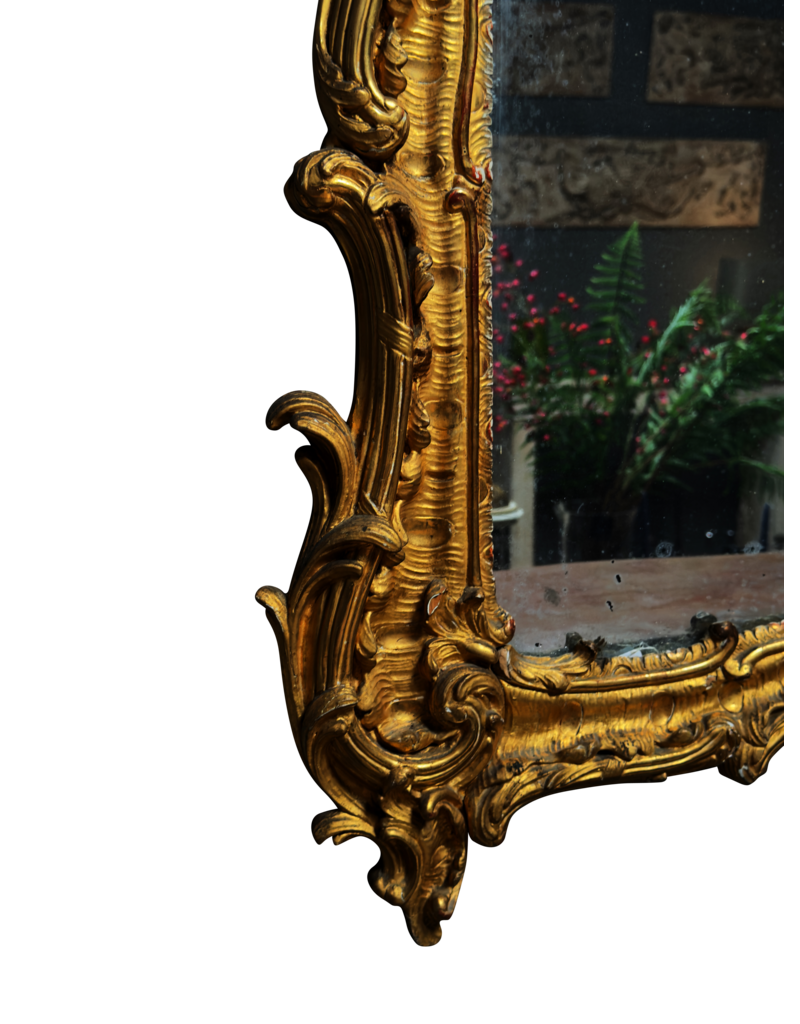 Maison Leon Van den Bogaert Antiker französischer Régence-Spiegel aus vergoldetem Holz mit Originalglas, Rocaille-Schnitzerei und warmer Goldpatina
