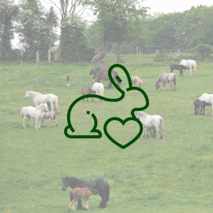 Dierproefvrije producten