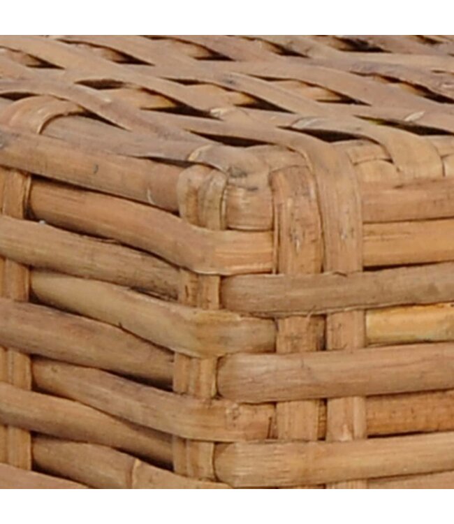 Voetensteun met kussen natuurlijk rattan