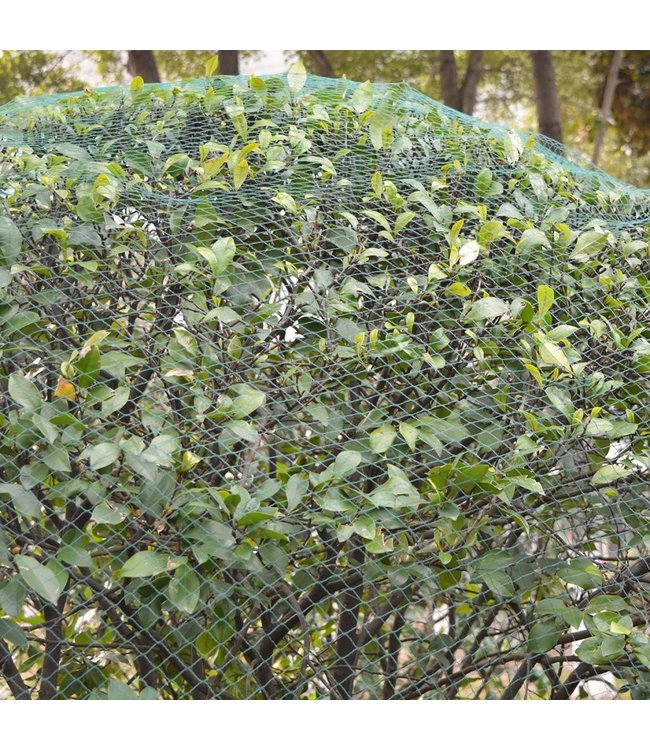 Vogelnetten 2 stuks 8x14 m PE