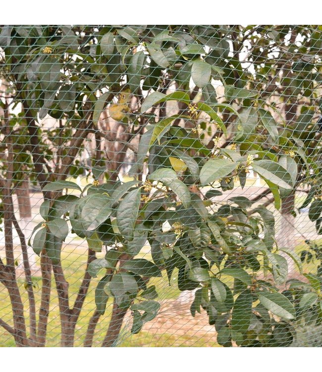 Vogelnetten 8x10 m PE 2 st