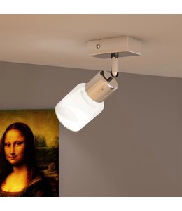 Plafondlamp glazen cilinder kap incl. LED lamp