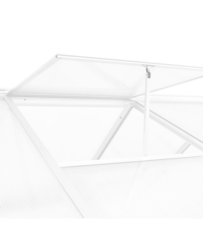Broeikas 15,6 m³ 421x190x195 cm aluminium