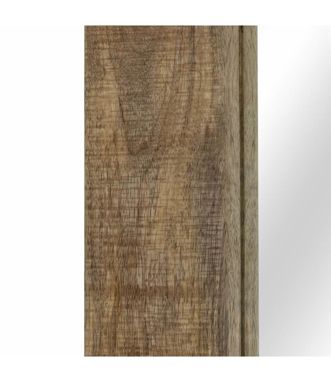 Spiegel 50x110 cm massief mangohout