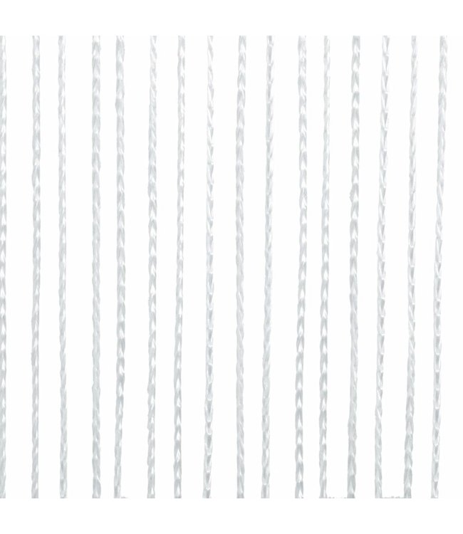 Draadgordijnen 2 st 100x250 cm wit