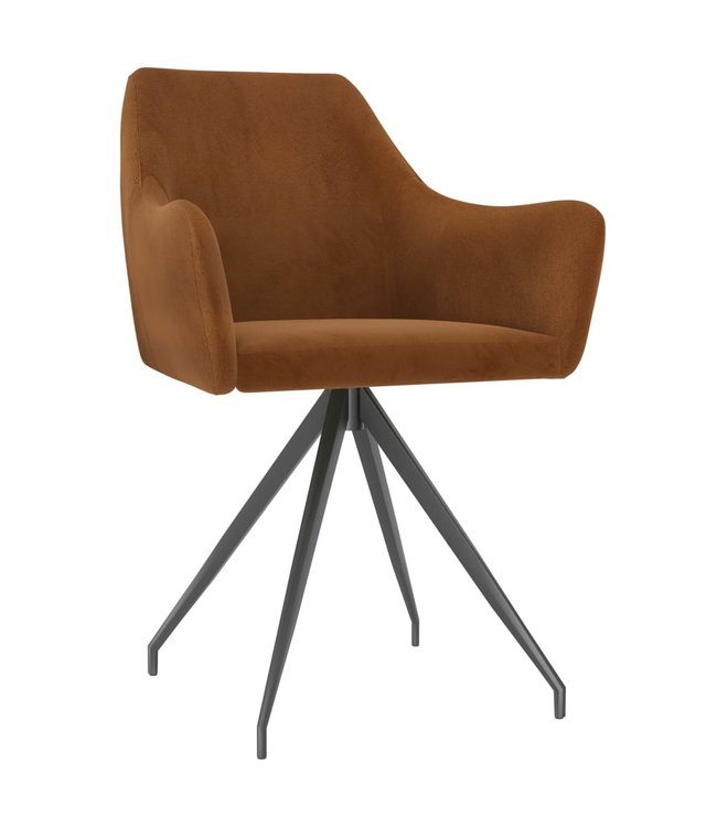 Eetkamerstoelen 2 st fluweel bruin