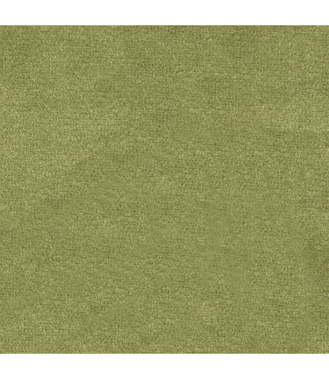 Eetkamerstoelen 2 st fluweel lichtgroen