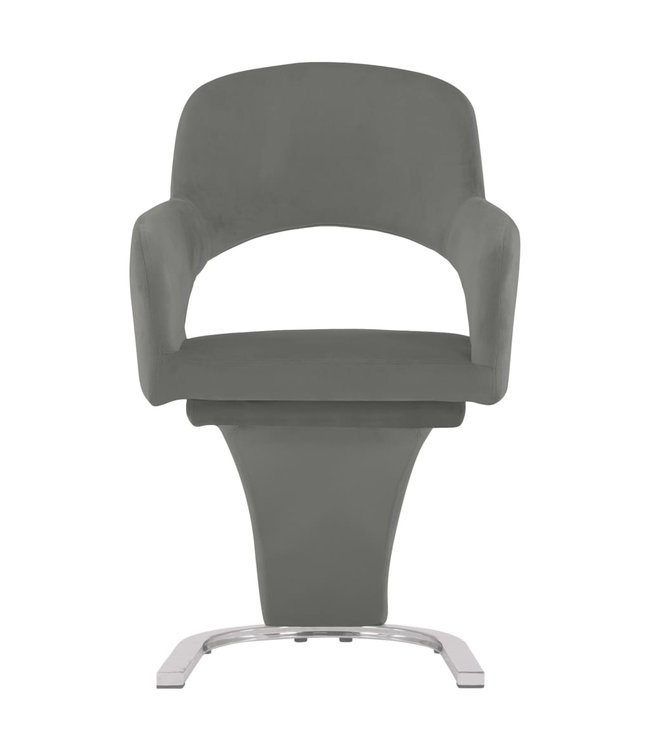 Eetkamerstoelen 4 st fluweel grijs