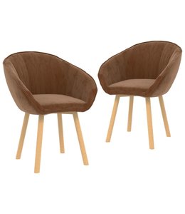 Eetkamerstoelen 2 st fluweel bruin