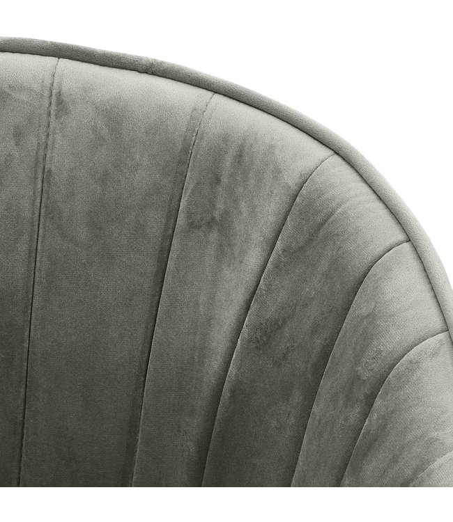 Eetkamerstoel fluweel lichtgrijs