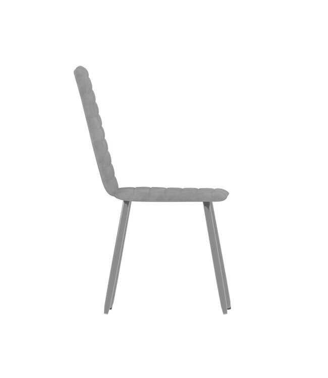 Eetkamerstoelen 2 st fluweel grijs