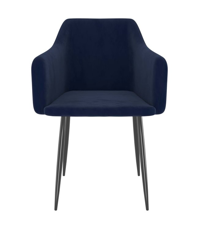Eetkamerstoelen 2 st fluweel blauw
