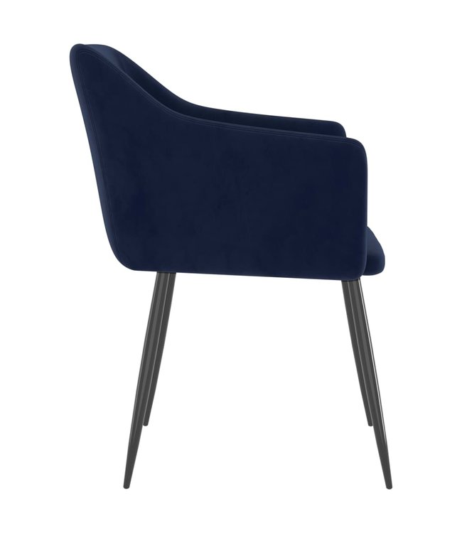 Eetkamerstoelen 2 st fluweel blauw