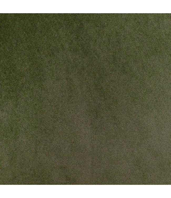 Eetkamerstoelen 2 st fluweel lichtgroen